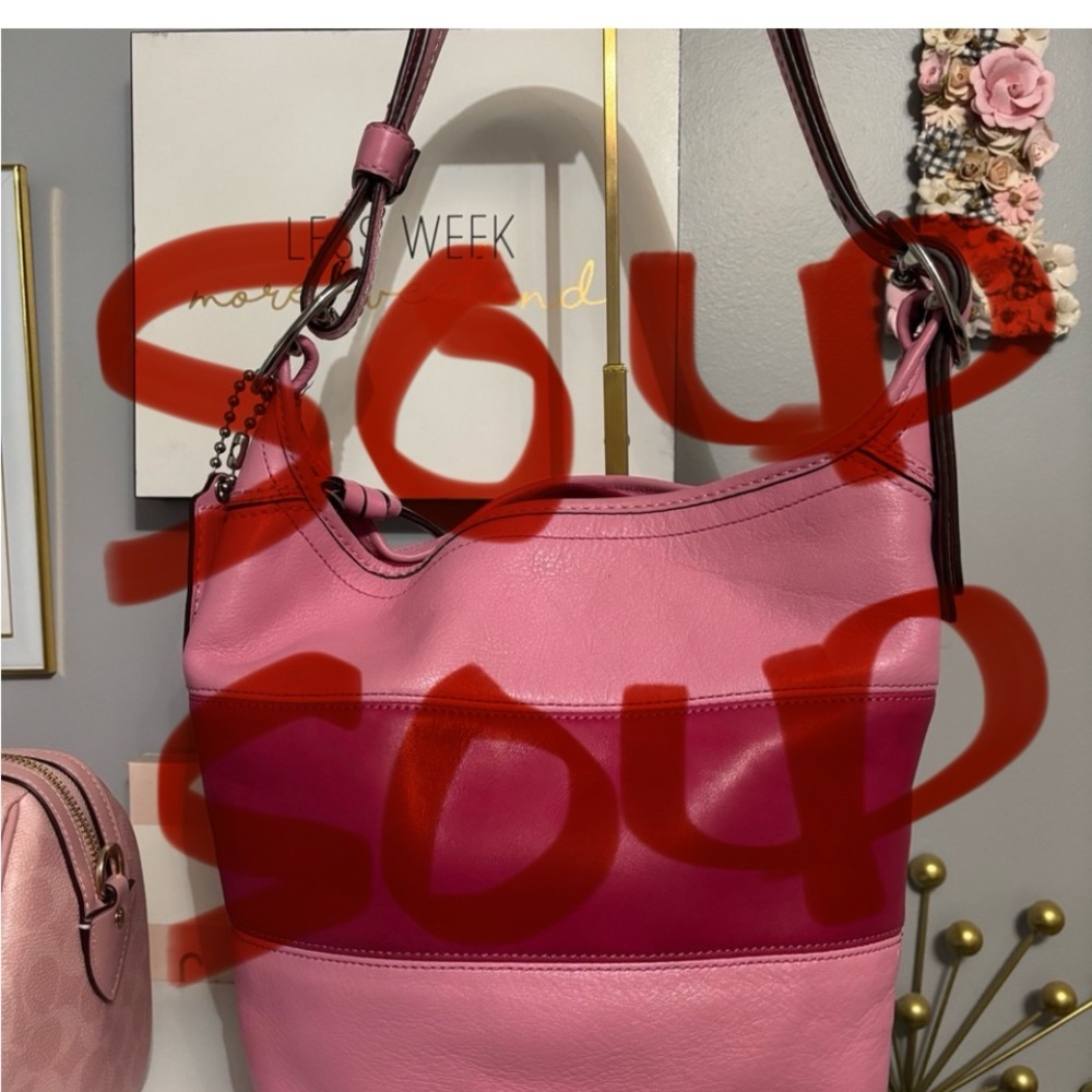 Sold 
Coach Varsity Bleaker Bag